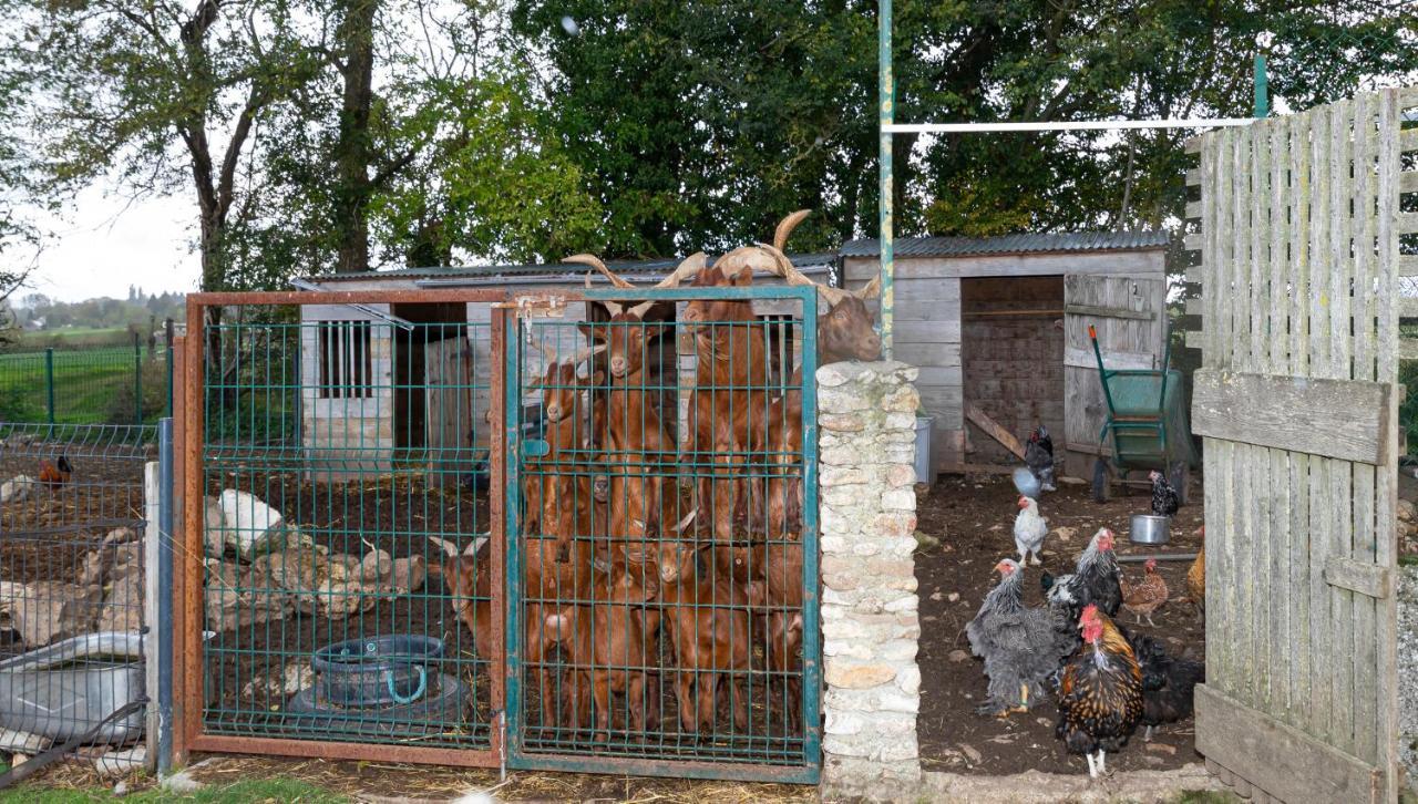 Appartement La Ferme Des Nonains à Montjavoult Extérieur photo
